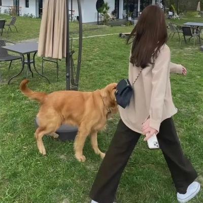 碎片之家
